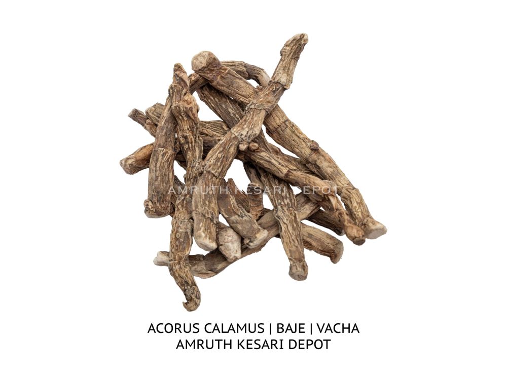 Shop Primary Image Shop Primary Image