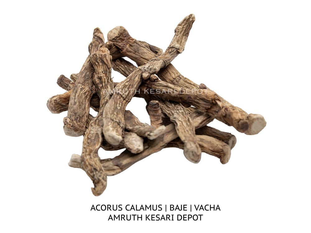 Shop Secondary Image Shop Secondary Image