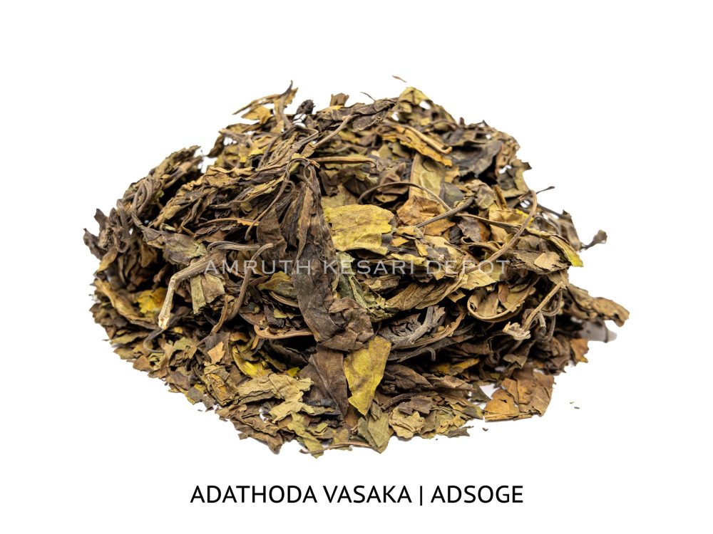 Shop Primary Image Shop Primary Image