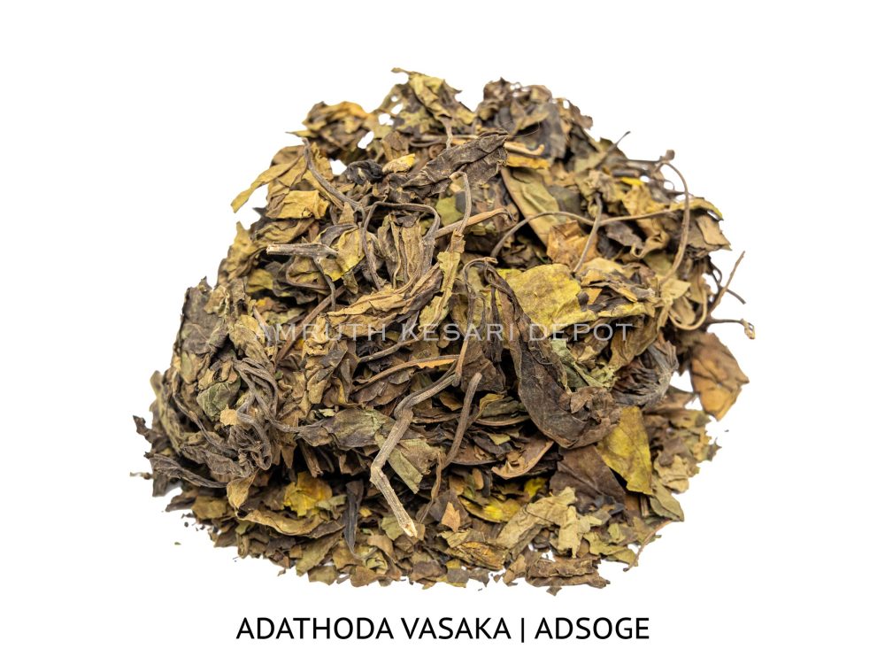 Shop Secondary Image Shop Secondary Image