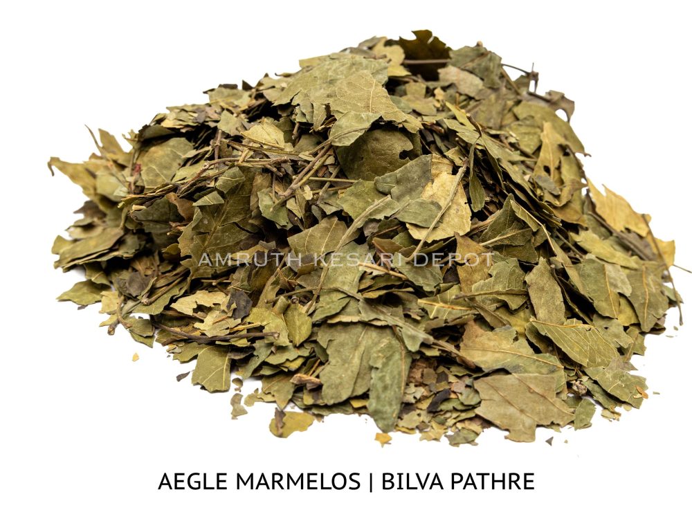 Shop Primary Image Shop Primary Image