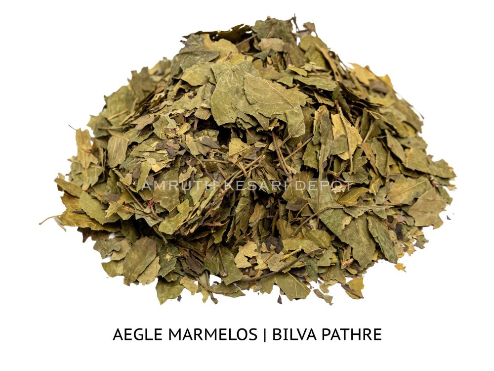 Shop Secondary Image Shop Secondary Image