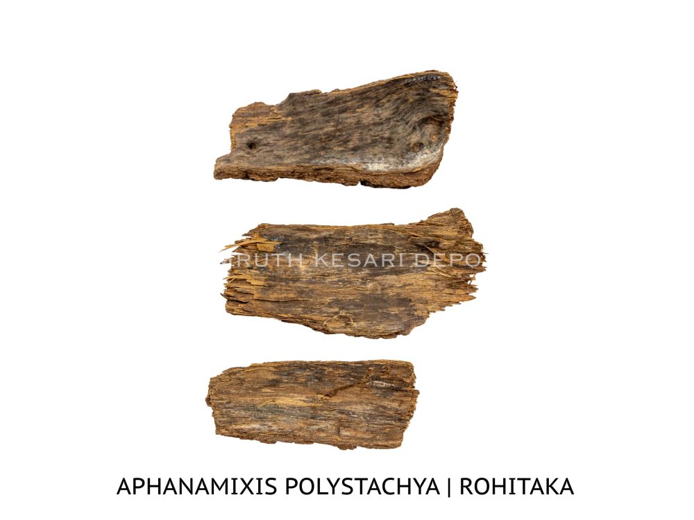 Shop Secondary Image Shop Secondary Image