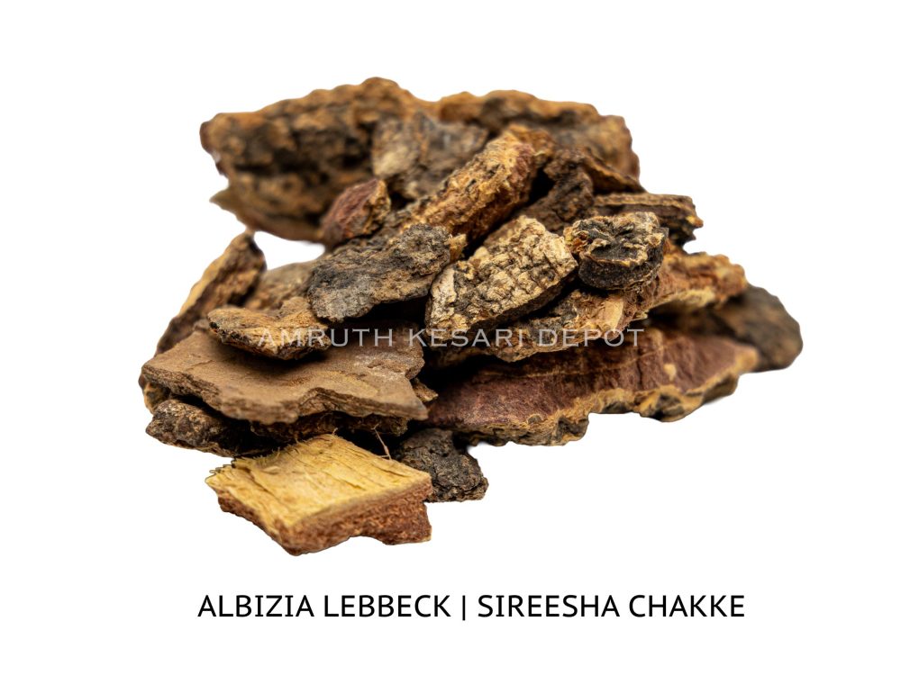 Shop Primary Image Shop Primary Image