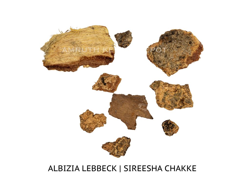 Shop Secondary Image Shop Secondary Image