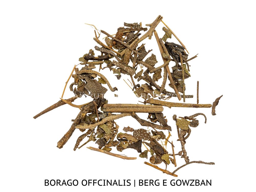 Shop Secondary Image Shop Secondary Image