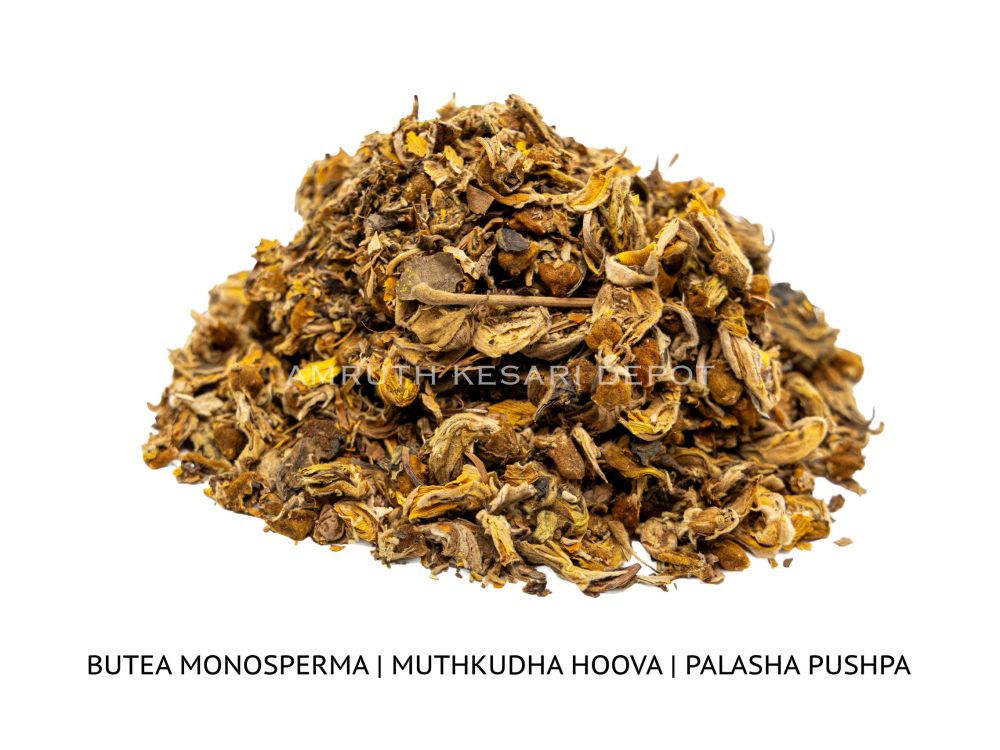 Shop Primary Image Shop Primary Image