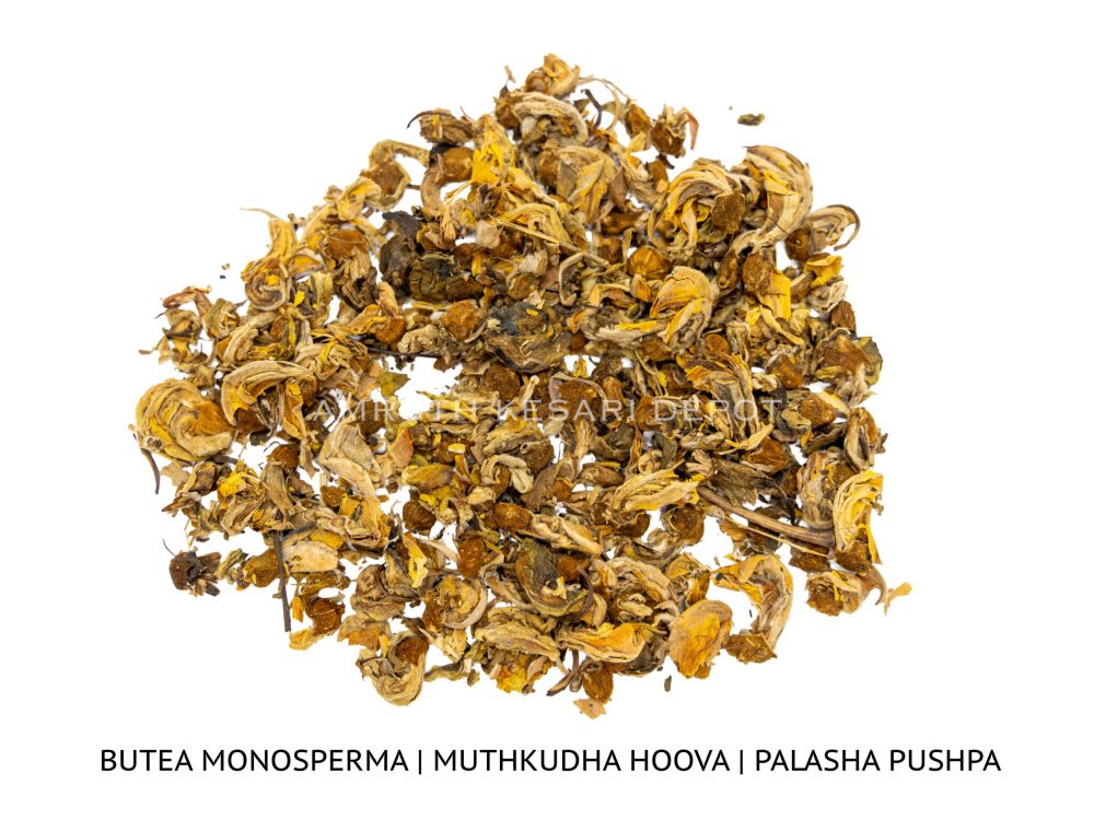 Shop Secondary Image Shop Secondary Image