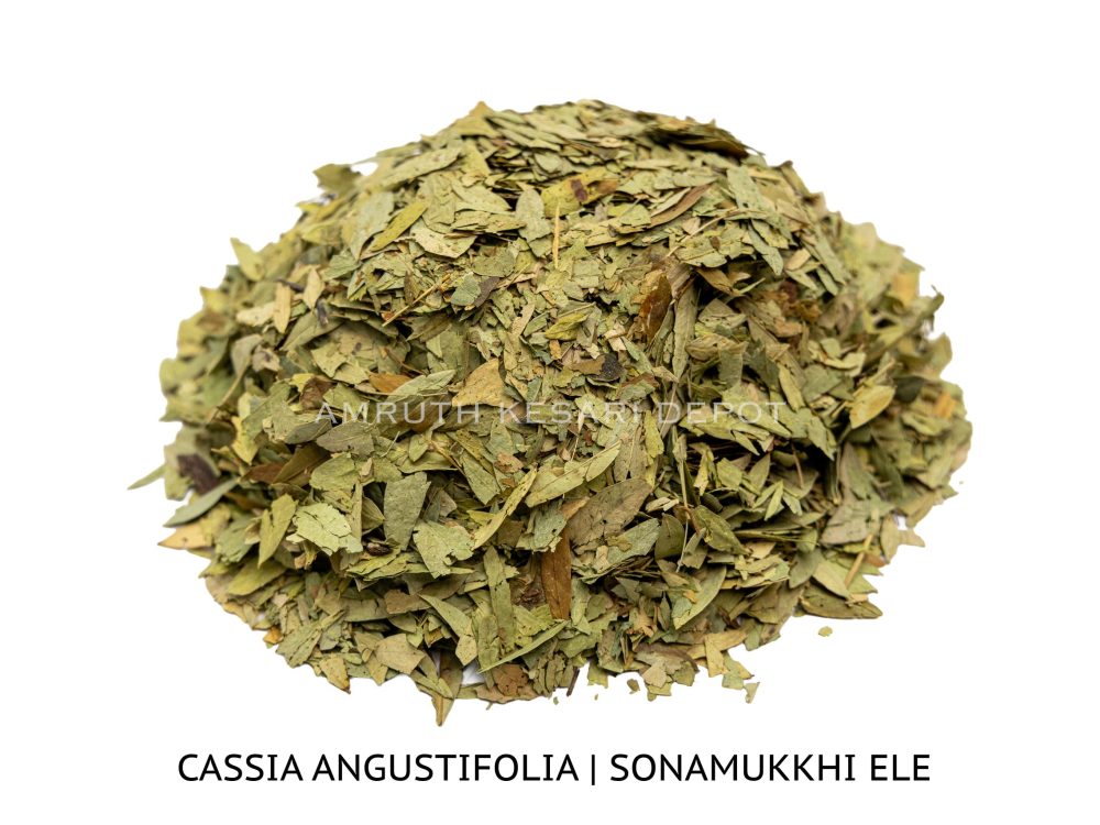 Shop Secondary Image Shop Secondary Image