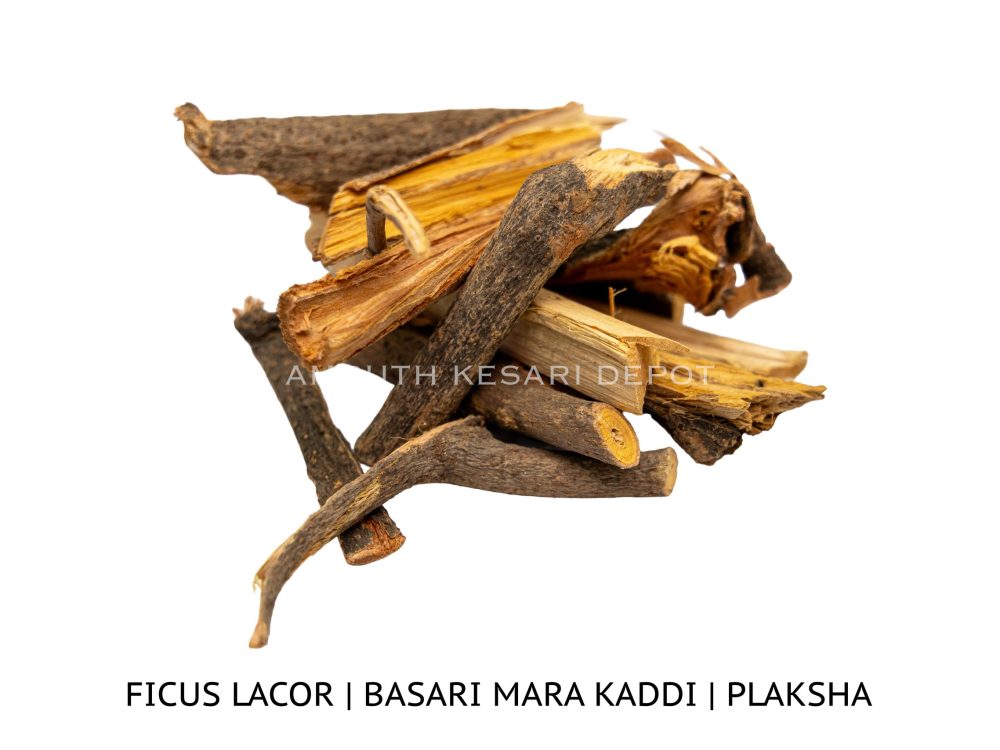 Shop Primary Image Shop Primary Image