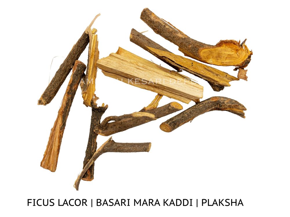 Shop Secondary Image Shop Secondary Image