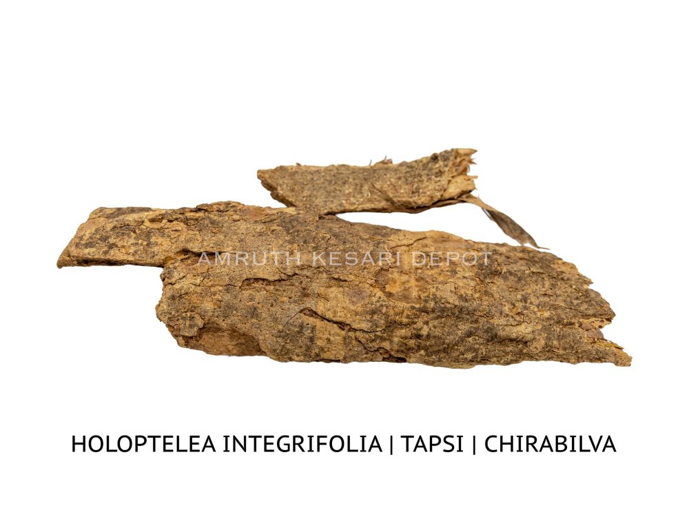 Shop Primary Image Shop Primary Image