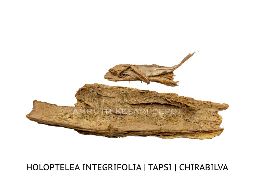 Shop Secondary Image Shop Secondary Image