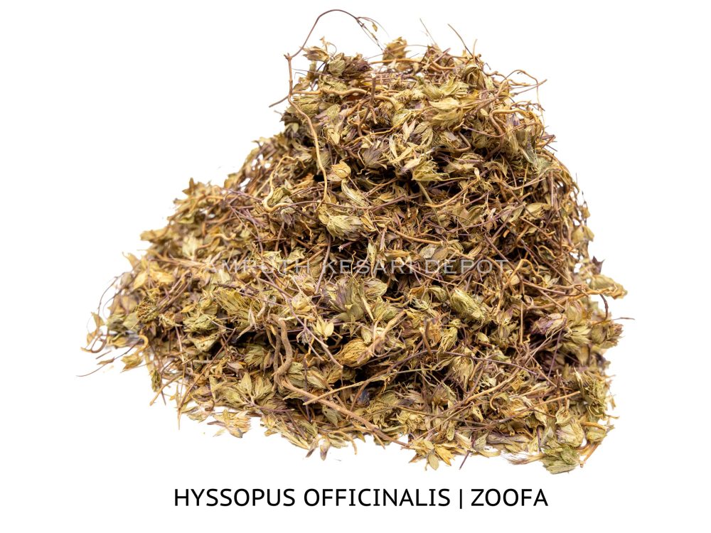 Shop Primary Image Shop Primary Image