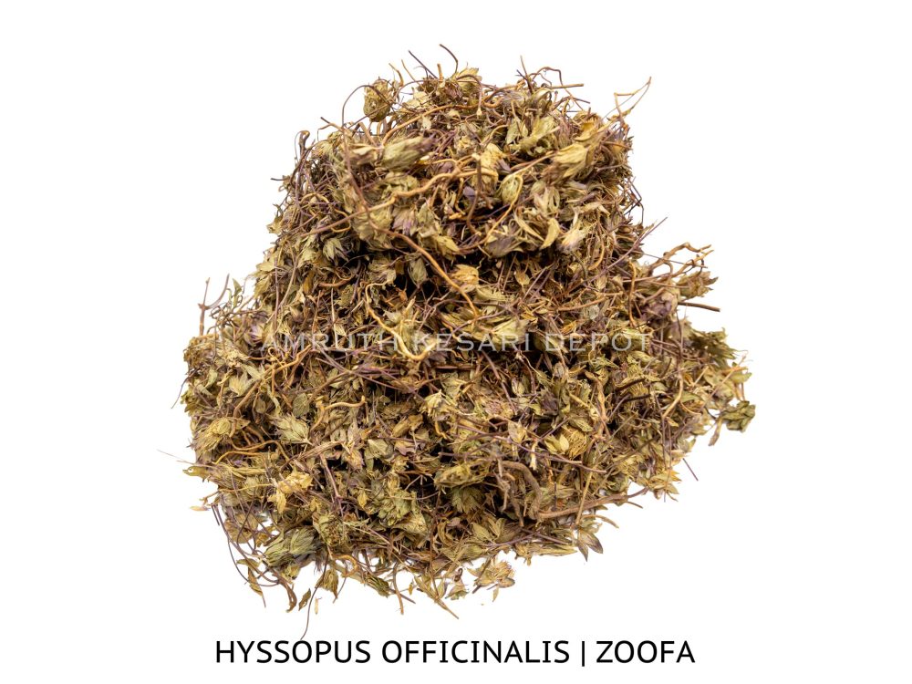 Shop Secondary Image Shop Secondary Image