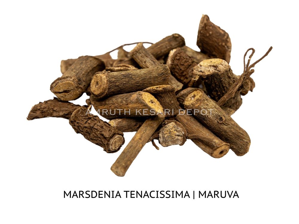 Shop Primary Image Shop Primary Image