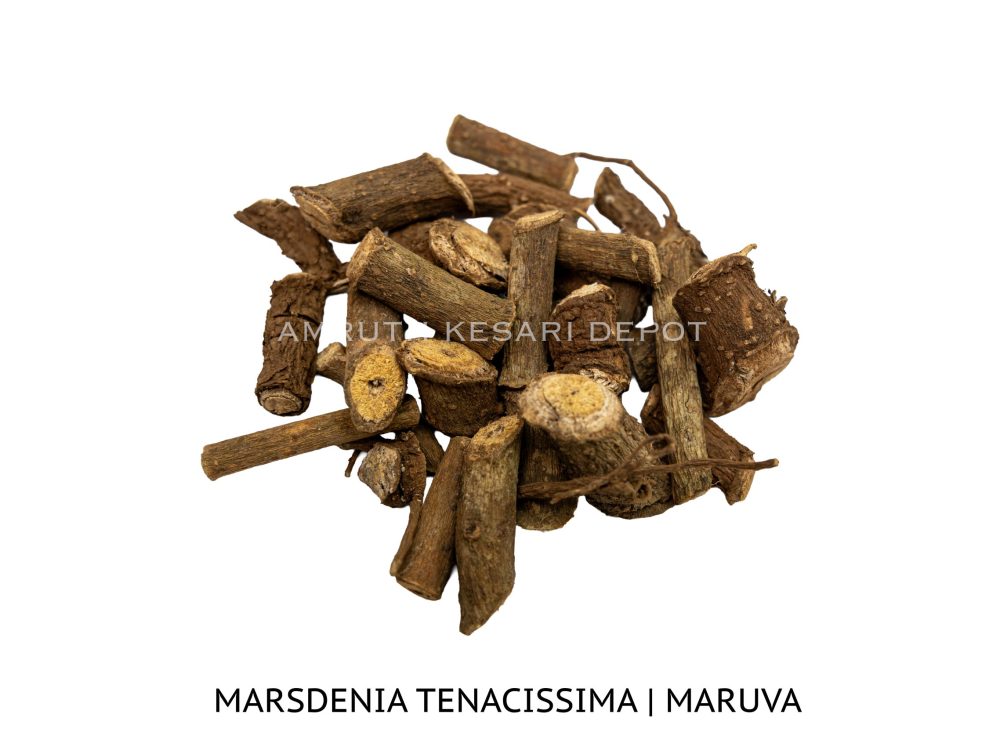 Shop Secondary Image Shop Secondary Image