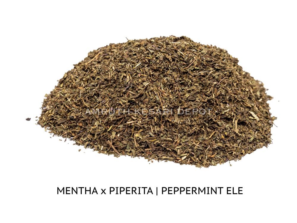 Shop Primary Image Shop Primary Image