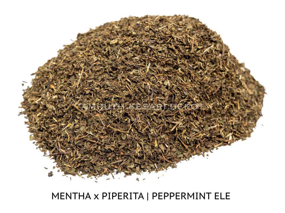 Shop Secondary Image Shop Secondary Image