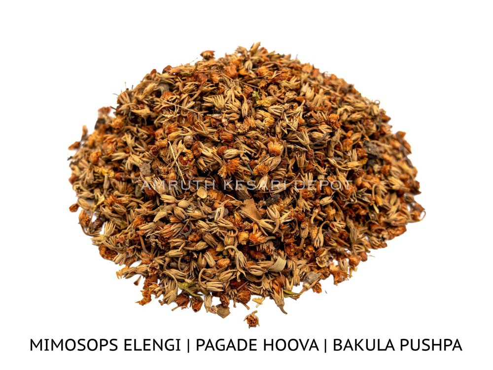 Shop Secondary Image Shop Secondary Image