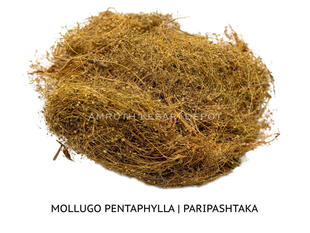 Shop Primary Image Shop Primary Image