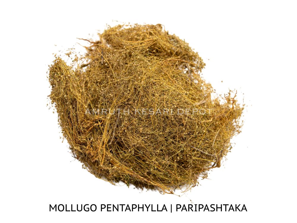 Shop Secondary Image Shop Secondary Image