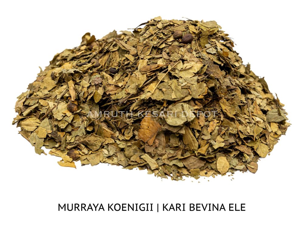 Shop Primary Image Shop Primary Image