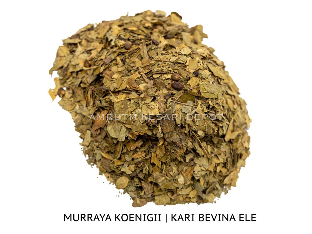 Shop Secondary Image Shop Secondary Image