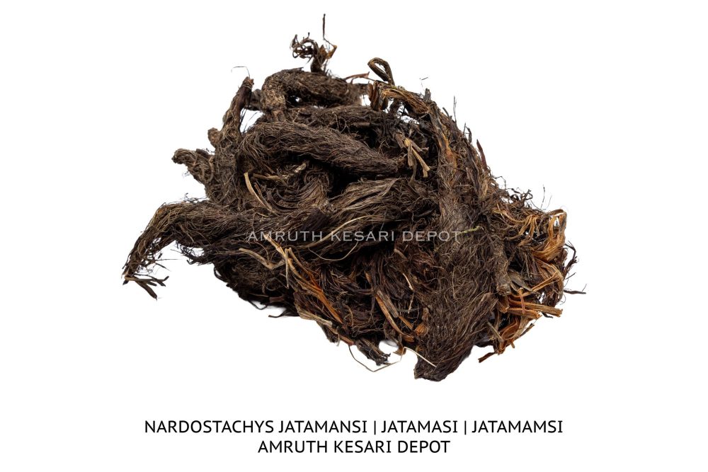 Jatamamshi – Amruth Kesari