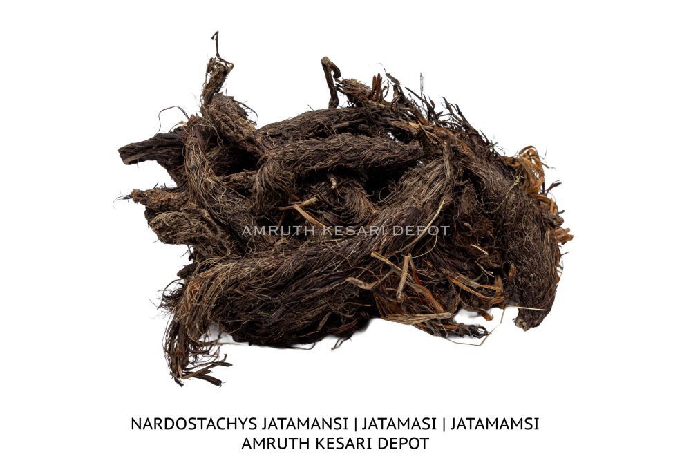 Jatamamshi – Amruth Kesari