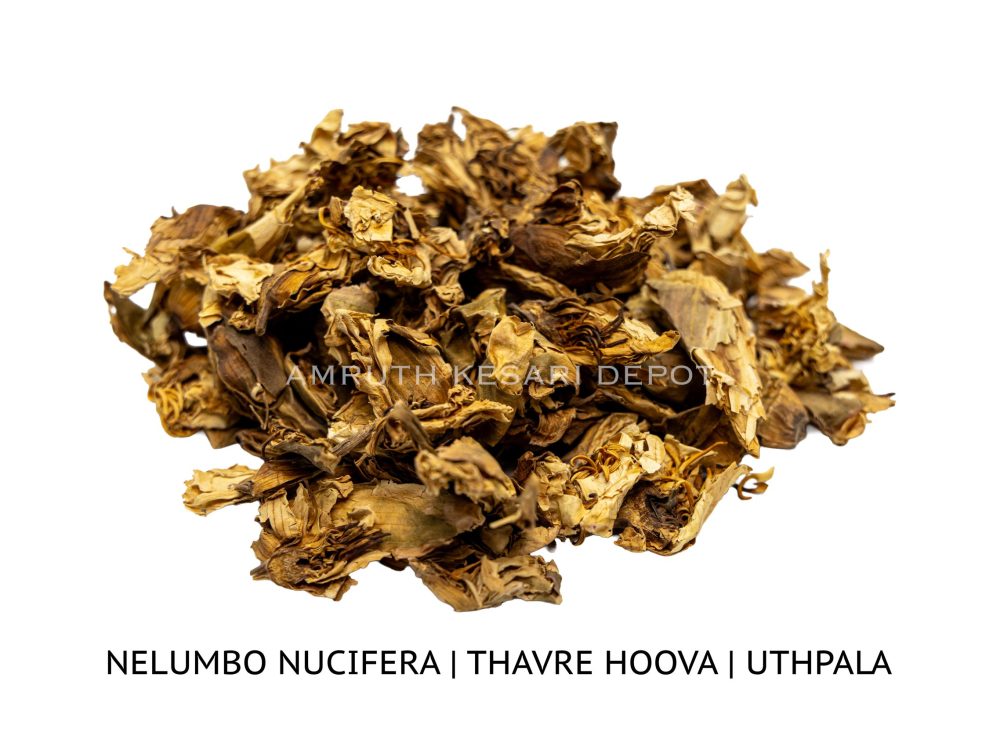 Shop Primary Image Shop Primary Image