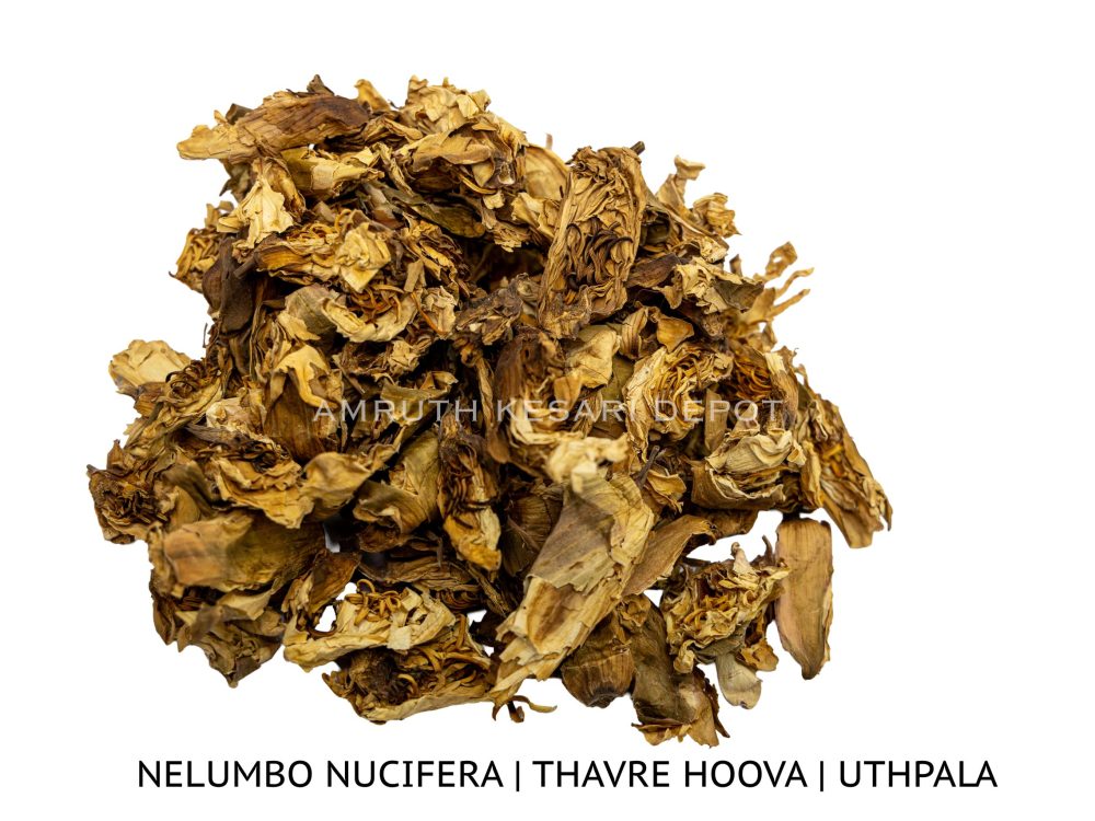 Shop Secondary Image Shop Secondary Image