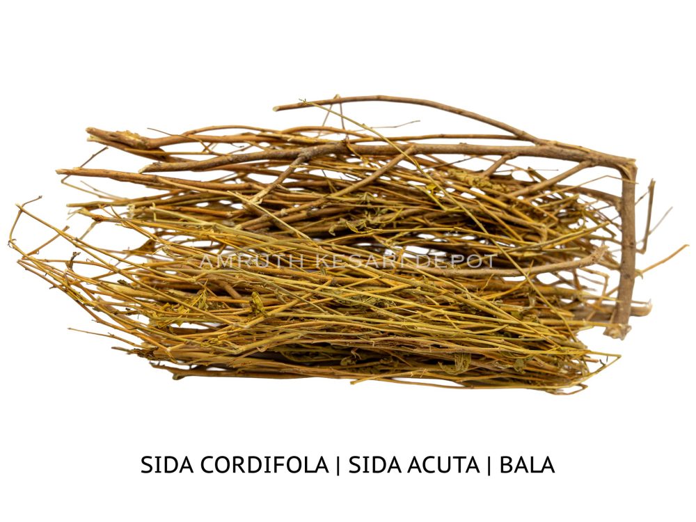 Shop Primary Image Shop Primary Image