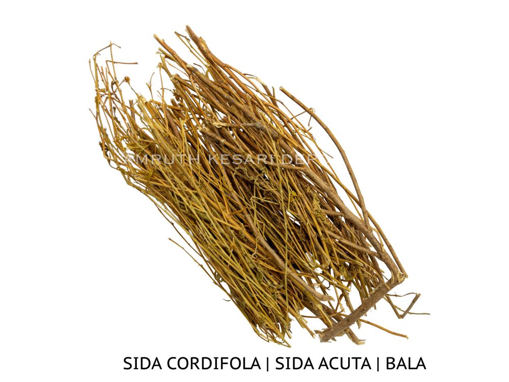 Shop Secondary Image Shop Secondary Image