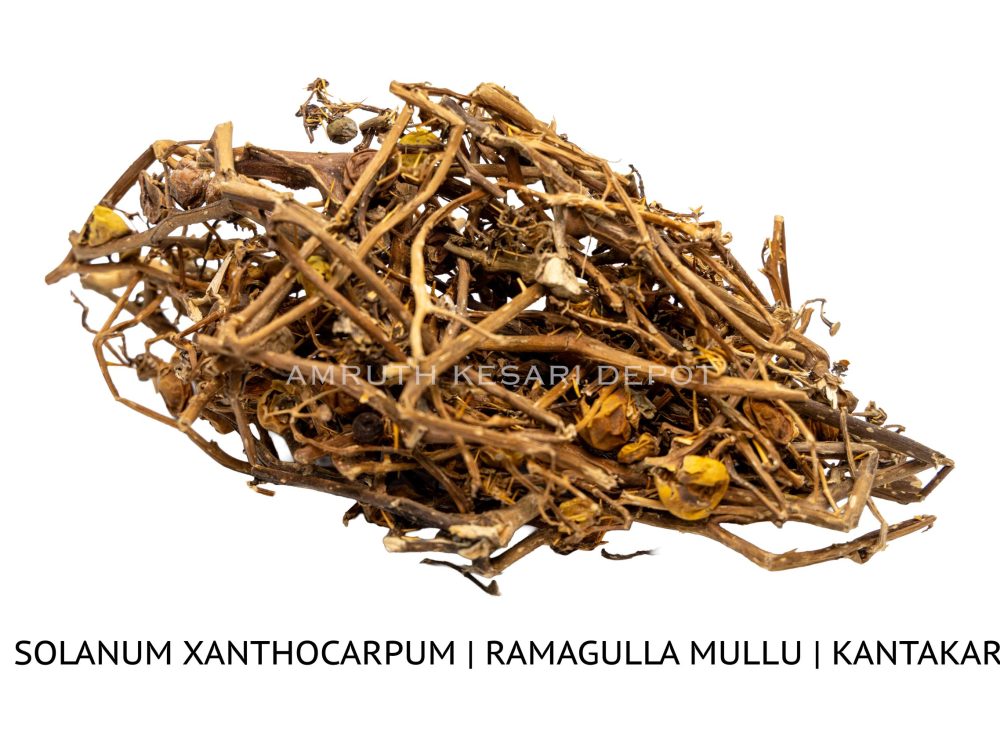 Shop Primary Image Shop Primary Image