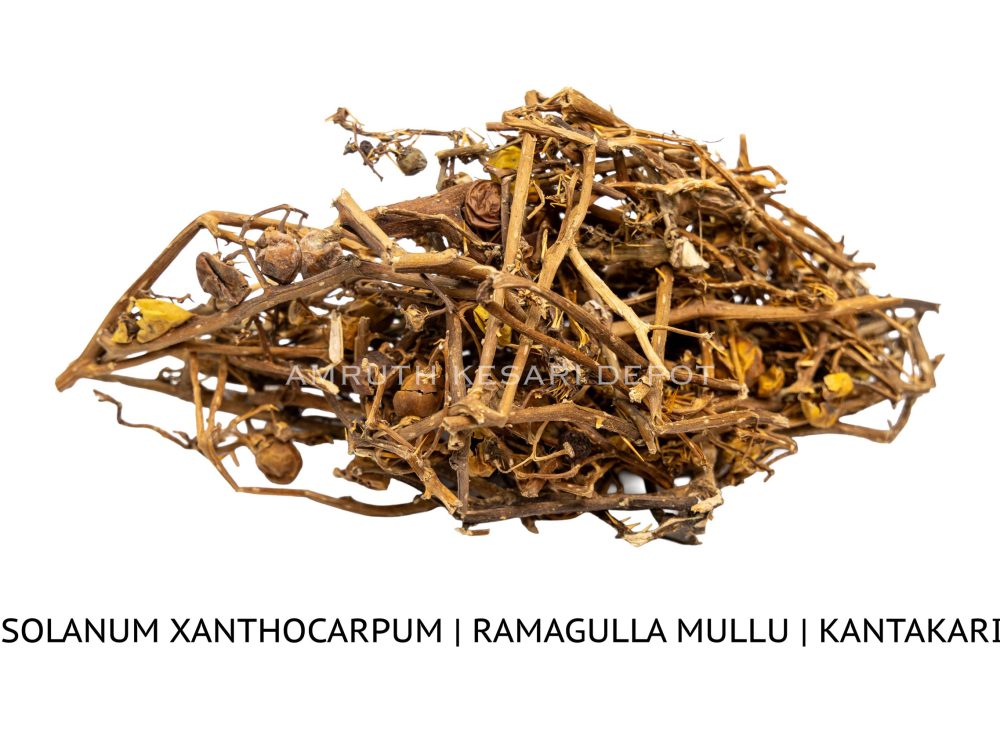 Shop Secondary Image Shop Secondary Image