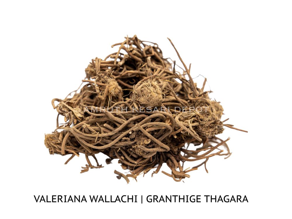 Shop Primary Image Shop Primary Image