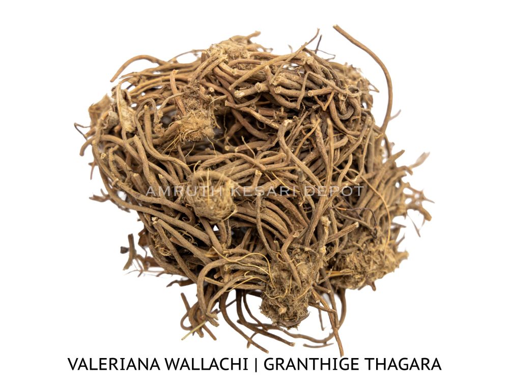 Shop Secondary Image Shop Secondary Image