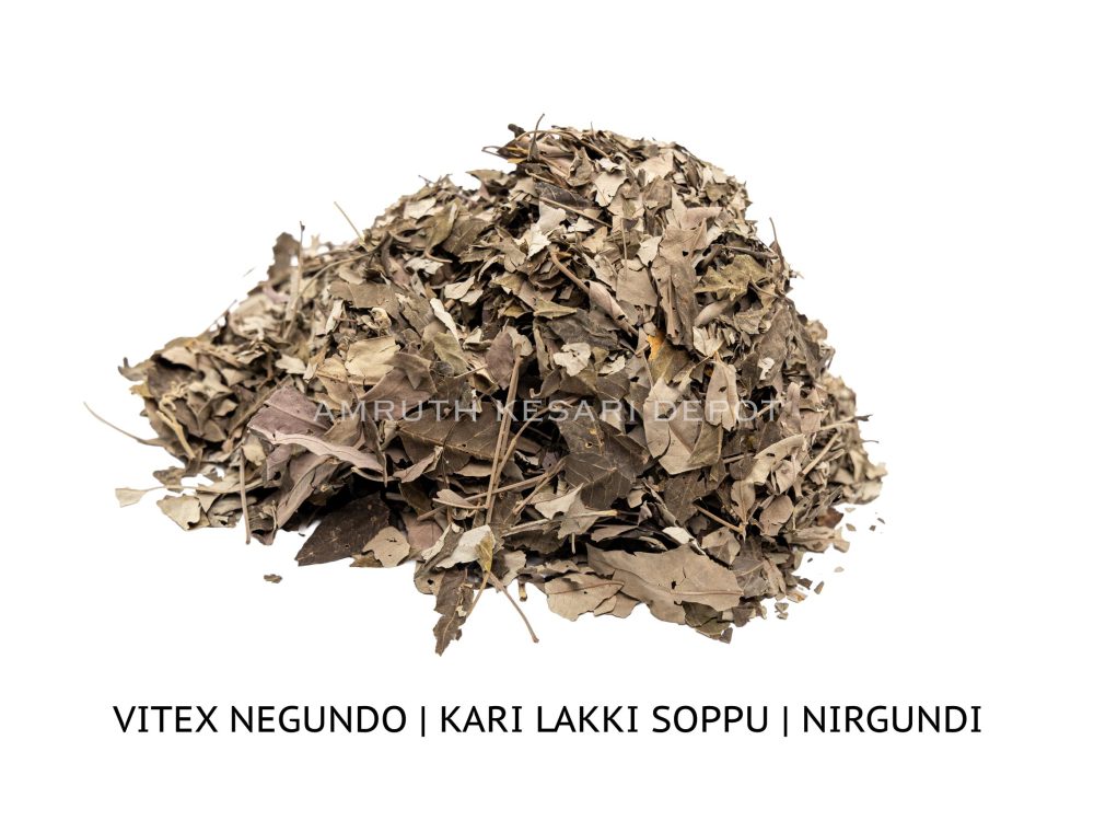 Shop Primary Image Shop Primary Image