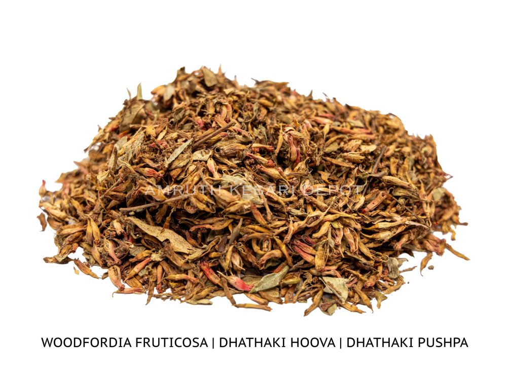 Shop Primary Image Shop Primary Image