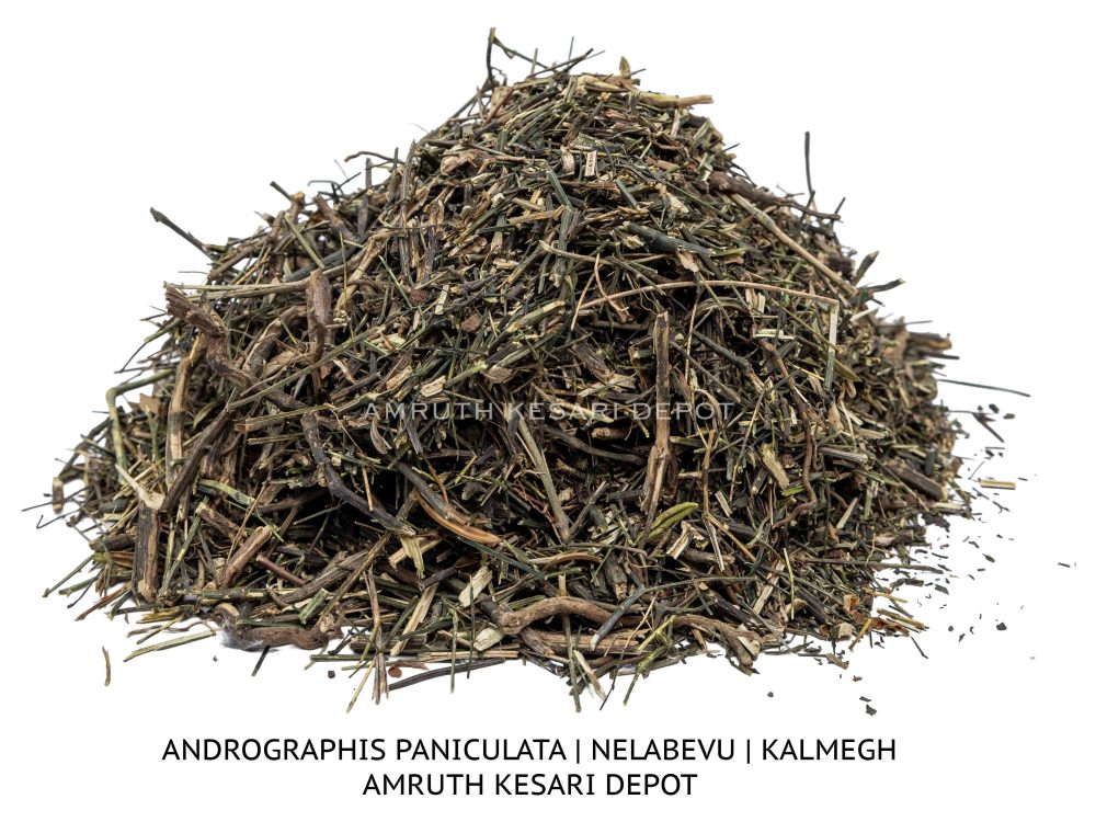 Shop Primary Image Shop Primary Image