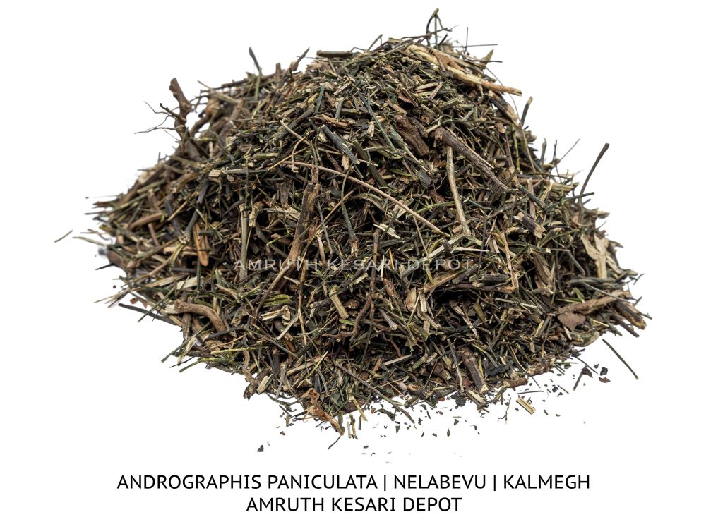 Shop Secondary Image Shop Secondary Image