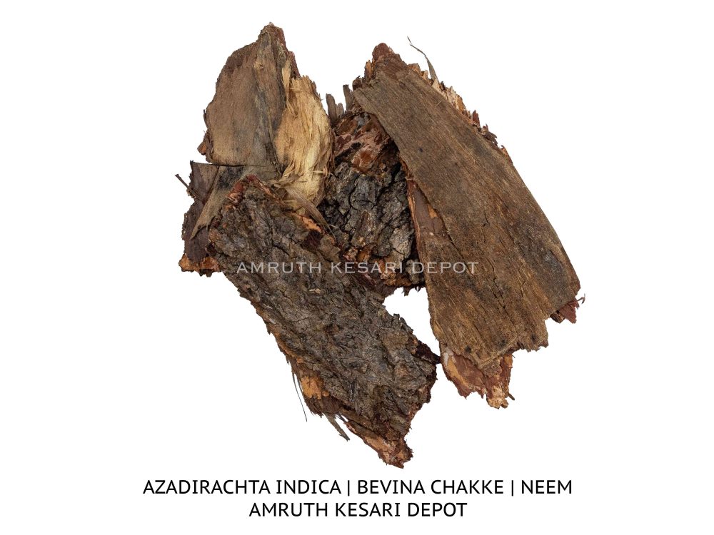 Shop Primary Image Shop Primary Image