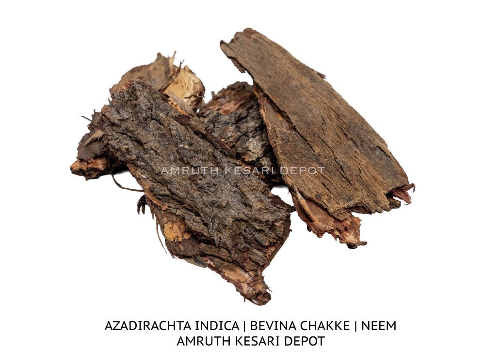 Shop Secondary Image Shop Secondary Image