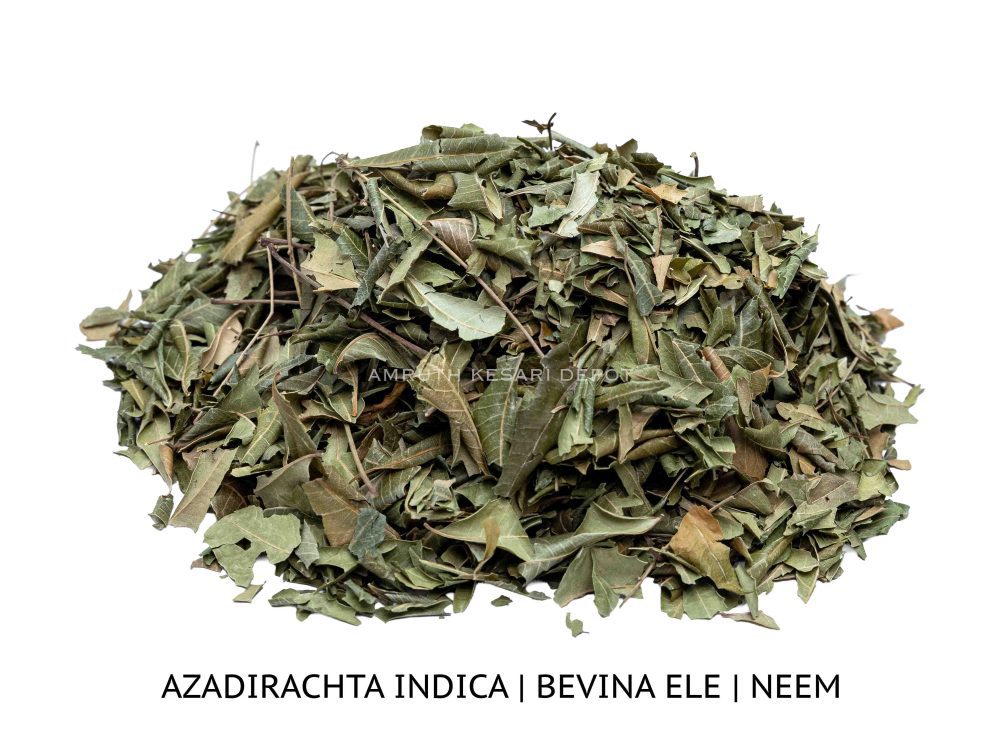 Shop Primary Image Shop Primary Image