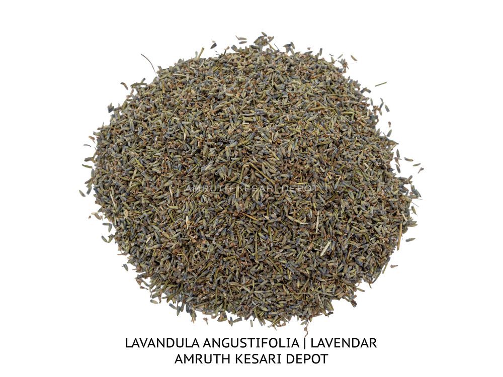 Shop Primary Image Shop Primary Image