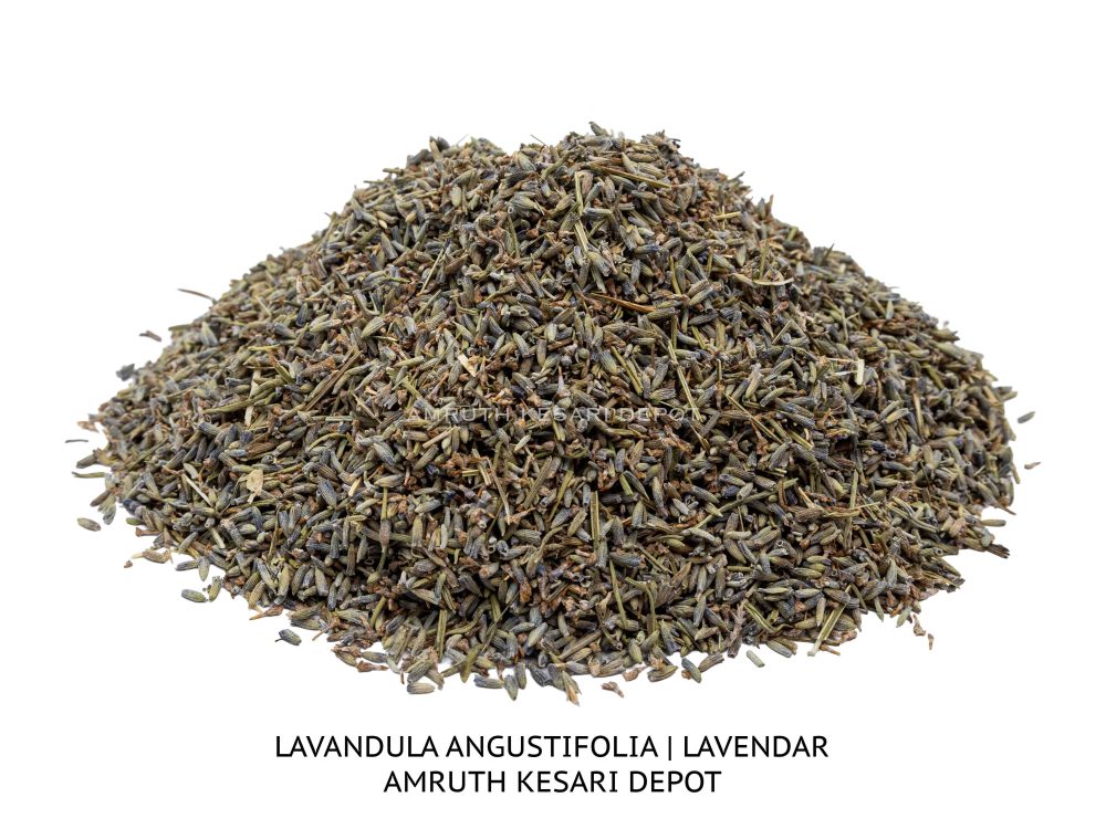 Shop Secondary Image Shop Secondary Image