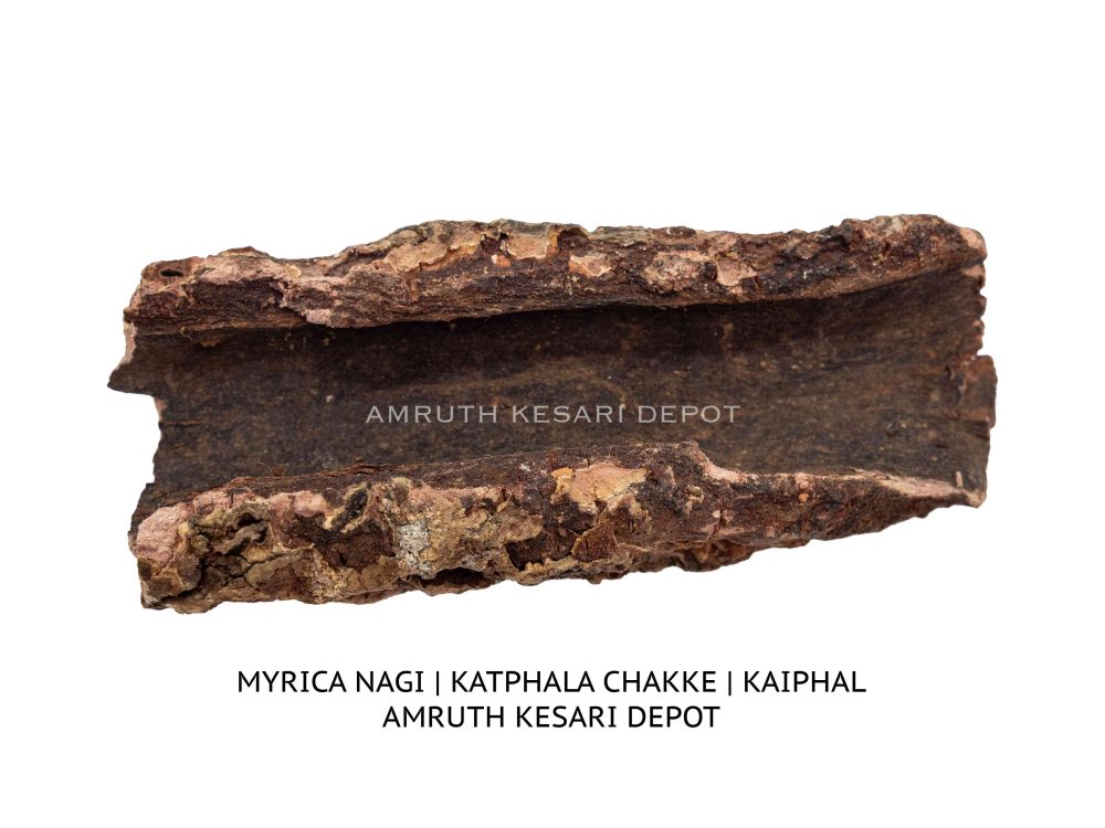 Shop Primary Image Shop Primary Image