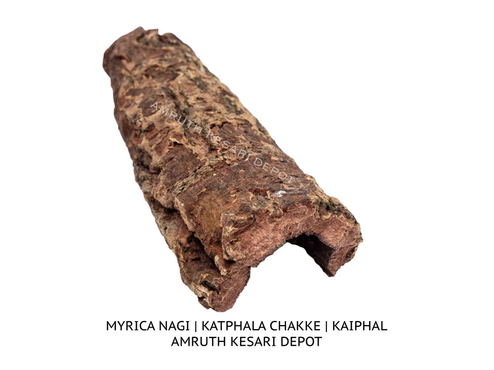 Shop Secondary Image Shop Secondary Image