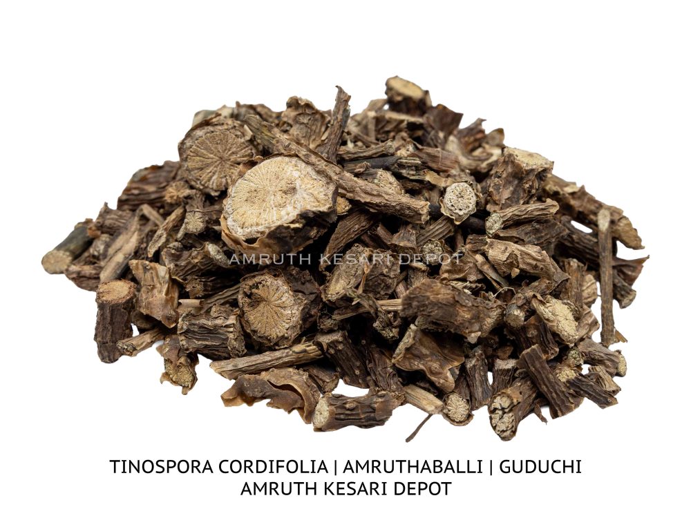 Shop Secondary Image Shop Secondary Image